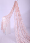 Japanese Lace