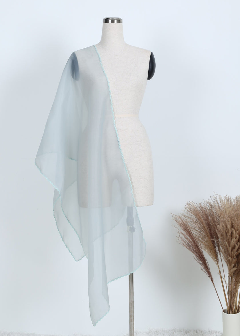 Embroidery Organza Shawl