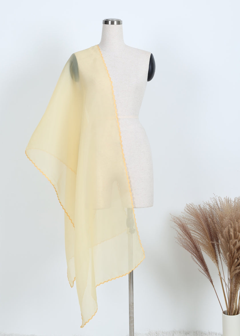 Embroidery Organza Shawl